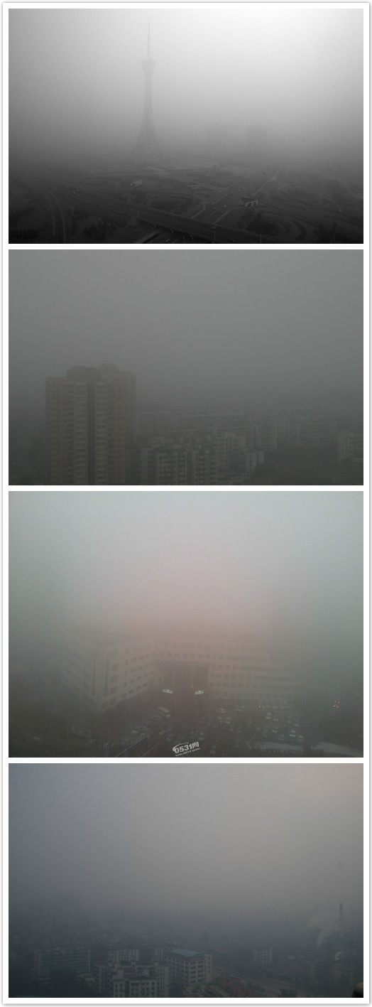 20130201yinmaitian